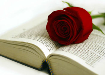 Parte la “Nave dei libri per Barcellona”