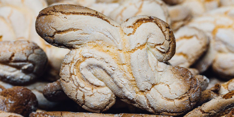 Festival del Giglietto dei Monti Prenestini, iniziano i preparativi…