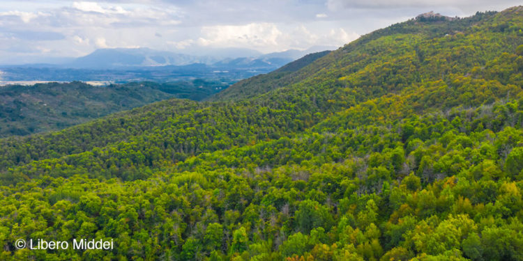 Lupi sui Monti Prenestini, iniziamo a monitorarli