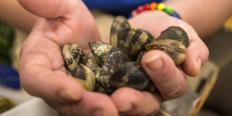 Ristopescheria, la scelta giusta per tutti i gusti