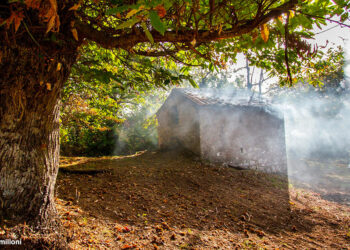 Foliage d’autunno, 20 luoghi incantevoli nel Lazio