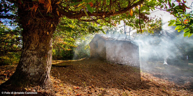 Foliage d’autunno, 20 luoghi incantevoli nel Lazio