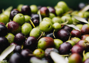 “Oro Verde”, aperte le iscrizioni per il concorso dell’Olio Extravergine d’Oliva