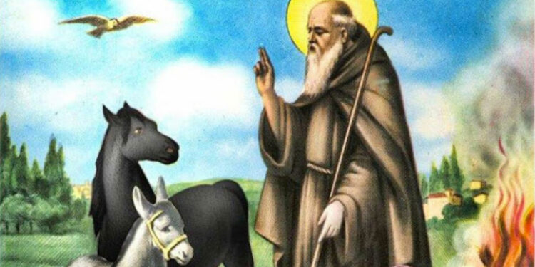 Festeggiamenti di Sant’Antonio Abate a Castel San Pietro Romano e Rocca di Cave