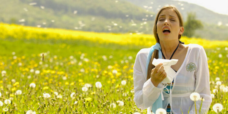 Come affrontare le Allergie di Primavera
