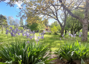 Dentro l’armonia, la quiete