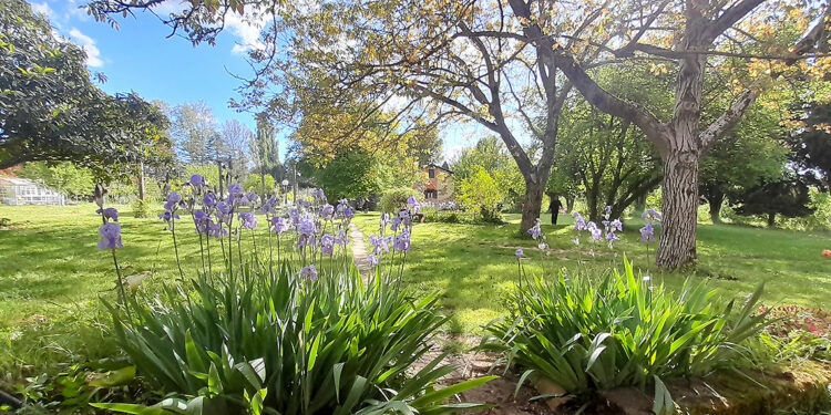 Dentro l’armonia, la quiete