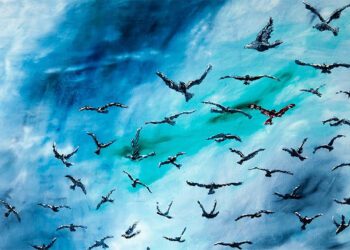 Roma: Universi Estremi a Via Margutta