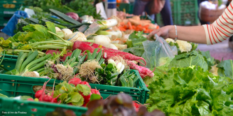 San Cesareo, chiude il mercato contadino a km 0