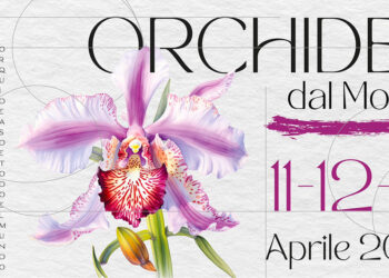 Monte Porzio Catone riabbraccia Orchidee dal Mondo