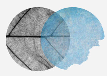 Roma: Mìnimo Immenso a Palazzo Valentini