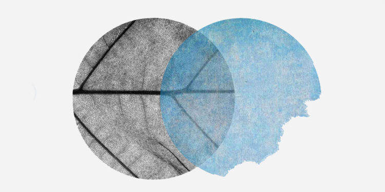 Roma: Mìnimo Immenso a Palazzo Valentini