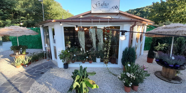 Gratta e Vinci Floreali a Zagarolo e dintorni