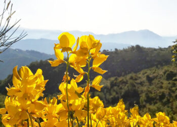 Tutti gli eventi di Luglio nei Monti Prenestini