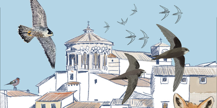 Inaugurazione nuovi allestimenti e bookshop del Museo Civico Naturalistico dei Monti Prenestini