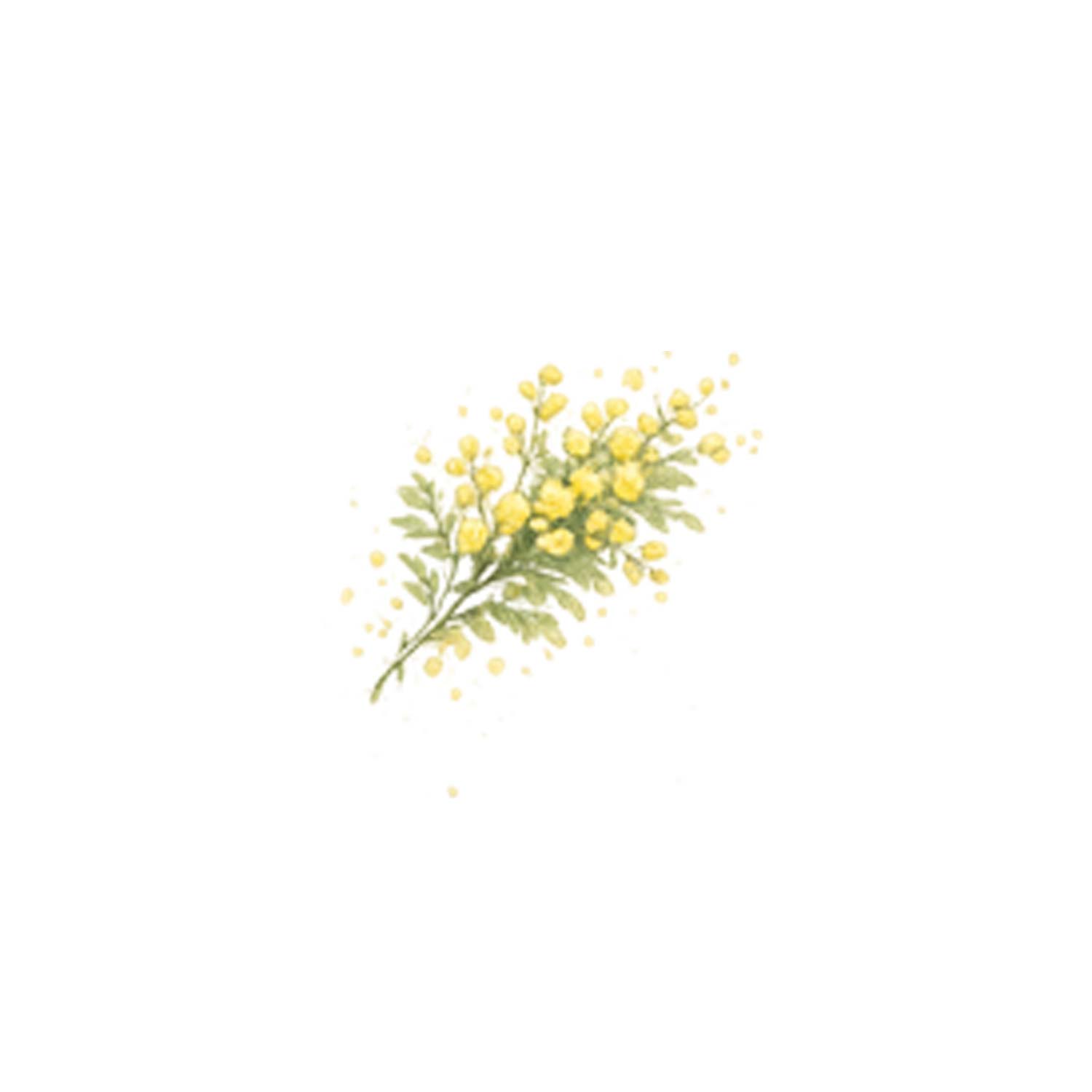 sei-un-fiore-raro-3