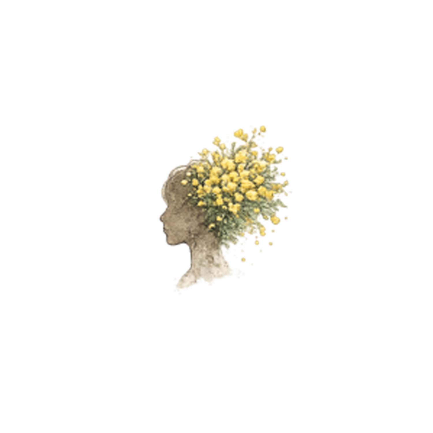 testa-mimosa-3